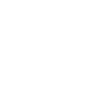 sabico group